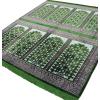 imageModefa Turkish Islamic Prayer Rug  Large Gathering ampamp Group Praying Carpet  Wide Plush Velvet Praying Mat  Multi Person Muslim Janamaz Sajada for Family  8 Person Red 3Green